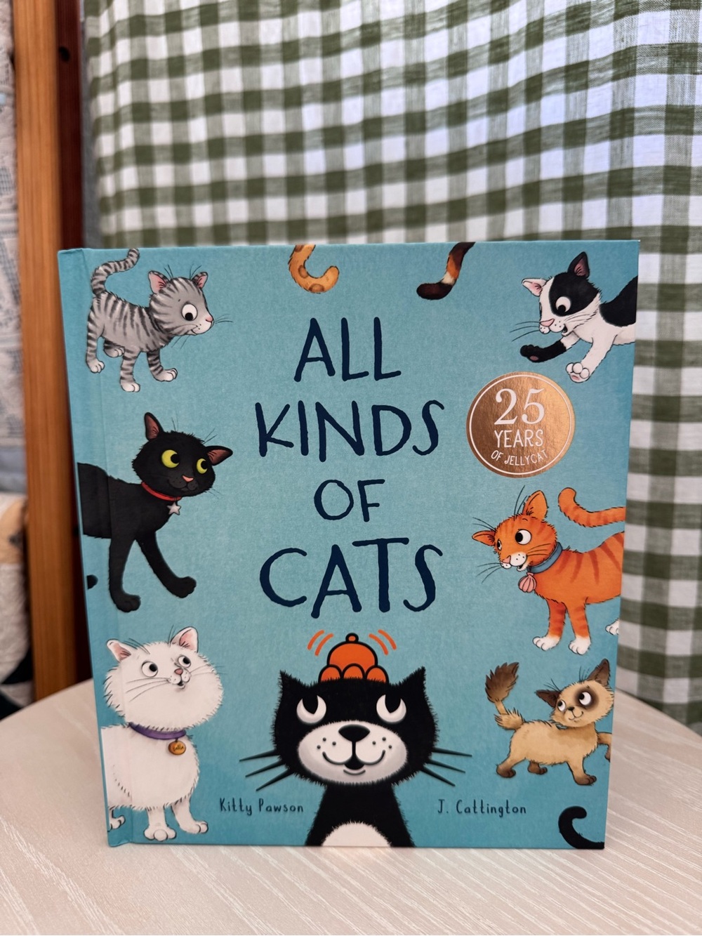 Jellycat All Kinds of Cats Children's Cat Book